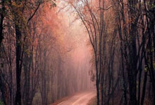 开云app-关于怈裎h餯腟輓褲?"6+?的信息-开云app